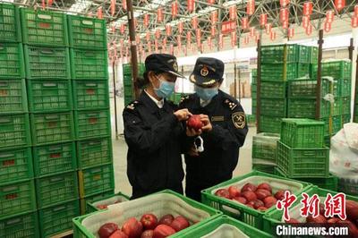 蘭州海關多措并舉促甘肅農產品擴大出口