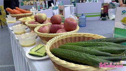 攜手“蔥娃”與“姜娃”，品味安丘出口農產品的世界之旅
