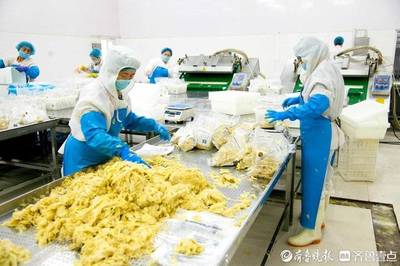 濟(jì)南市兩家企業(yè)榮獲山東省農(nóng)產(chǎn)品出口示范企業(yè)稱號(hào)，助力農(nóng)業(yè)國(guó)際化