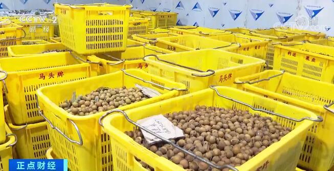 RCEP賦能中國農產品貿易新格局 廣東六大國際交易中心引領出口增長