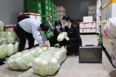一季度增城海關農產品出口勢頭強勁，遠洋蔬菜批次達去年六成