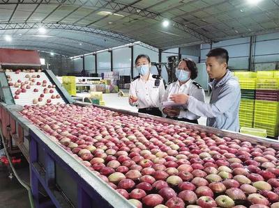 蘭州海關暢通“綠色通道” 助力特色農產品揚帆出海